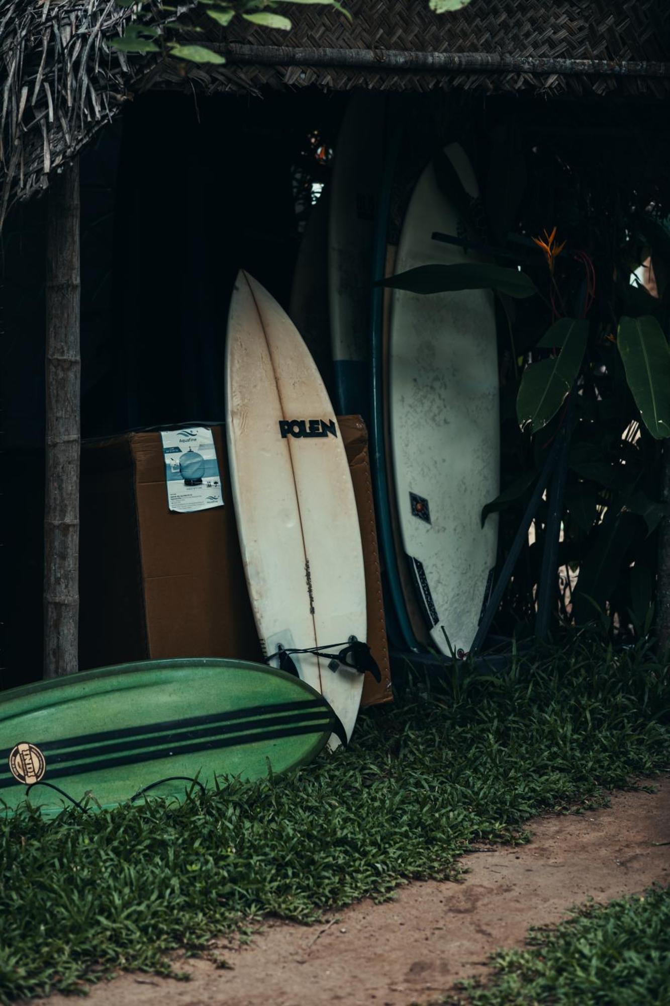 Paddlecult Surf Retreat Bed & Breakfast Varkala Exterior photo
