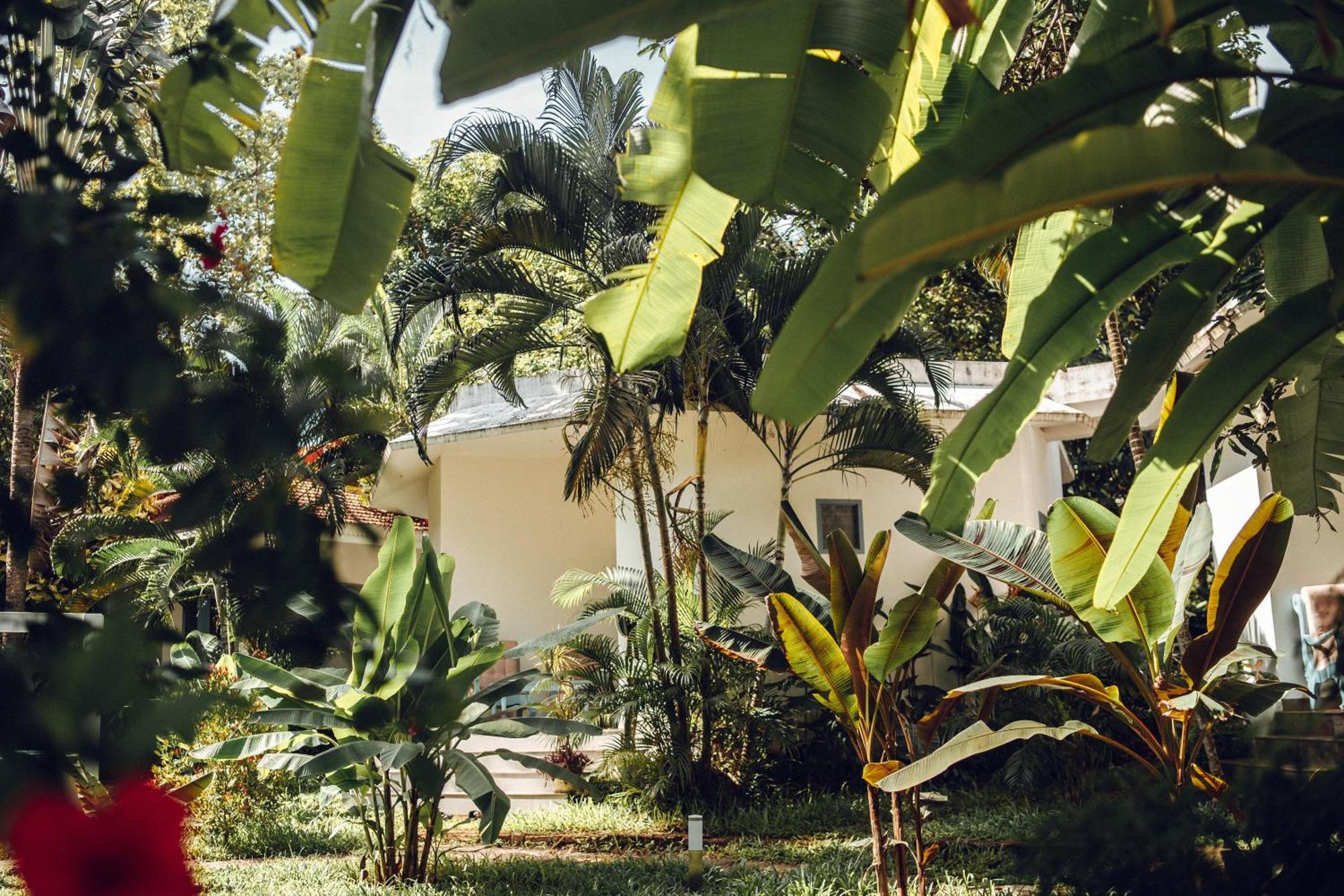 Paddlecult Surf Retreat Bed & Breakfast Varkala Exterior photo