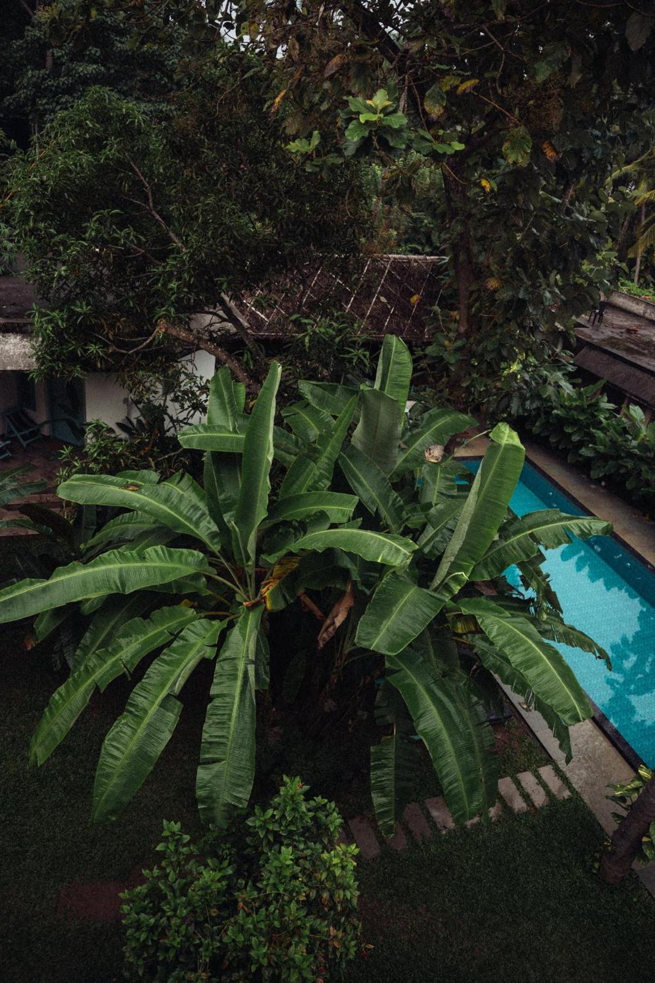Paddlecult Surf Retreat Bed & Breakfast Varkala Exterior photo